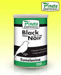 black_noir